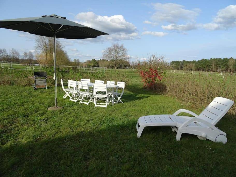 Gîte La Gouletterie classé 3* avec piscine in Thorée-les-Pins, Sarthe