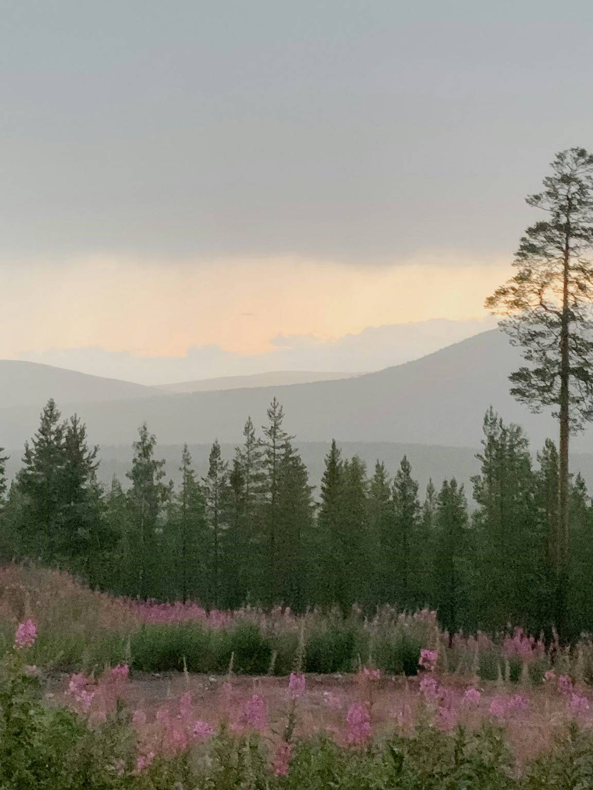 Bergsstuga med panoramautsikt för aktiv semester in Stöten, Malung-Sälen region