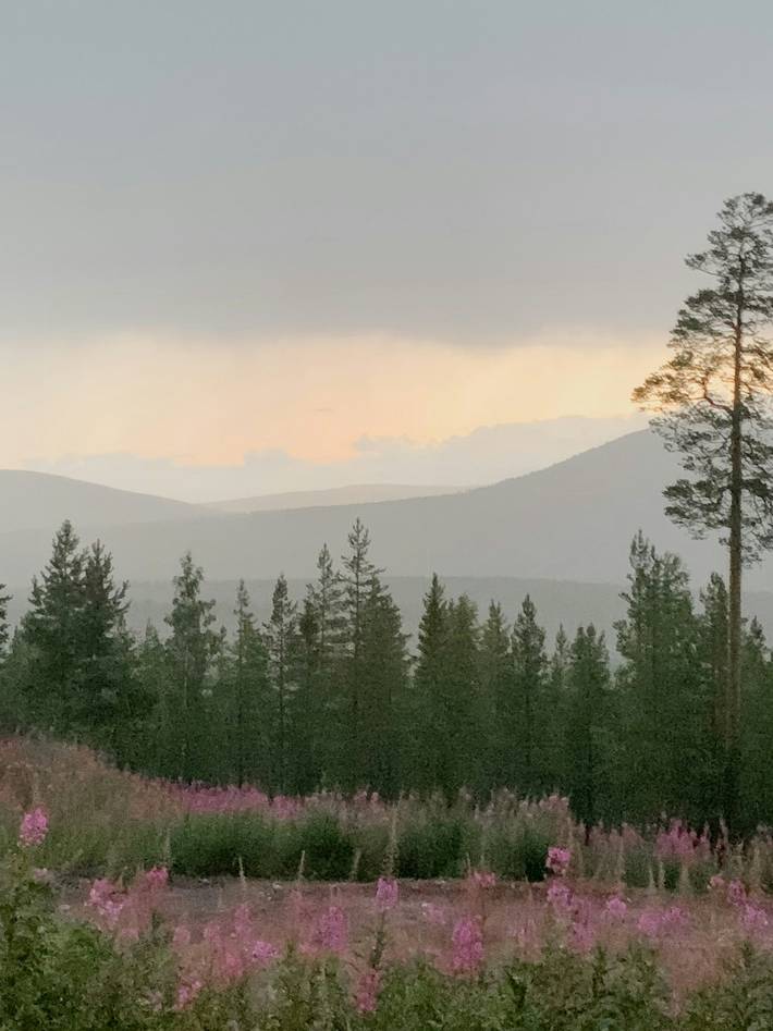 Ferienhaus für 8 Personen, mit Terrasse und Sauna, kinderfreundlich in Malung-Sälen und Umgebung - 2