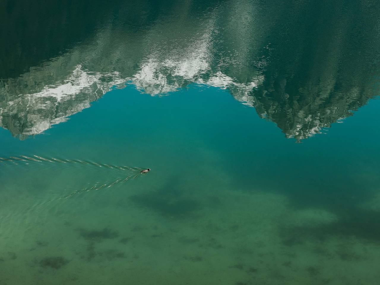 Antholzer Wildsee - Rote Wand Doppelzimmer Wald in Antholz, Rasen-Antholz