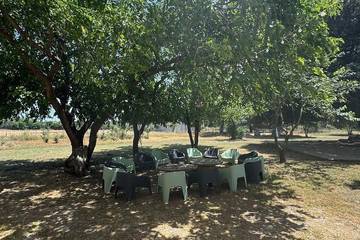 Maison de vacances pour 14 personnes, animaux acceptés en Corse