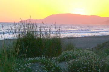 Villa per 6 Persone in Grosseto, Parco naturale della Maremma, Foto 4
