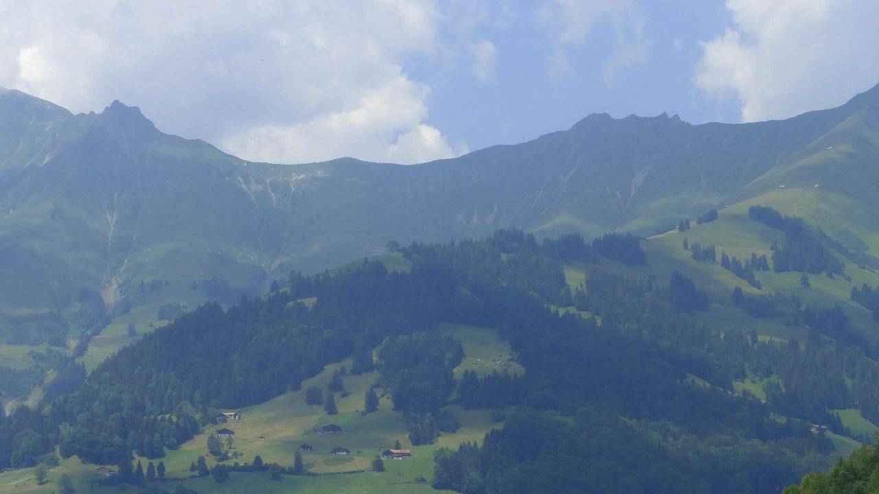 Ganze Ferienwohnung, Ferienwohnung für 5 Personen (55 m²) in Frutigen in Frutigen, Frutigen - Lenk - Adelboden