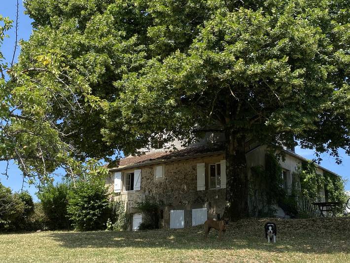 Gîte pour 5 personnes, animaux acceptés à Saint-Léger-de-Fougeret - 4