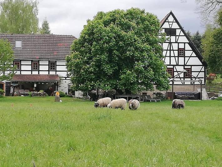 Ferienwohnung für 21 Personen, mit Sauna und Garten, mit Haustier