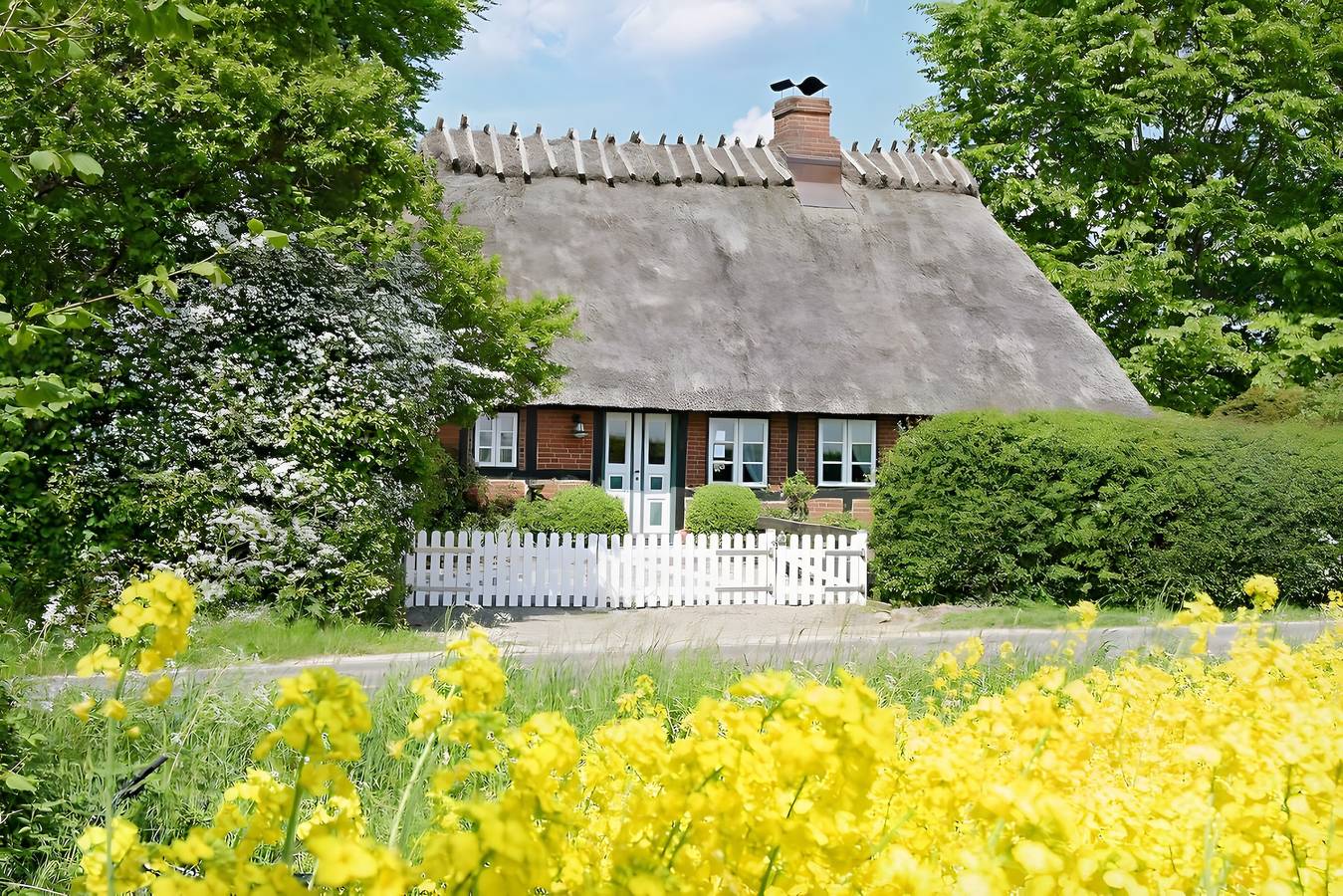 Ferienhaus für 5 Personen (90 m²) in Esgrus Hund erlaubt in Esgrus, Schleswig-Flensburg