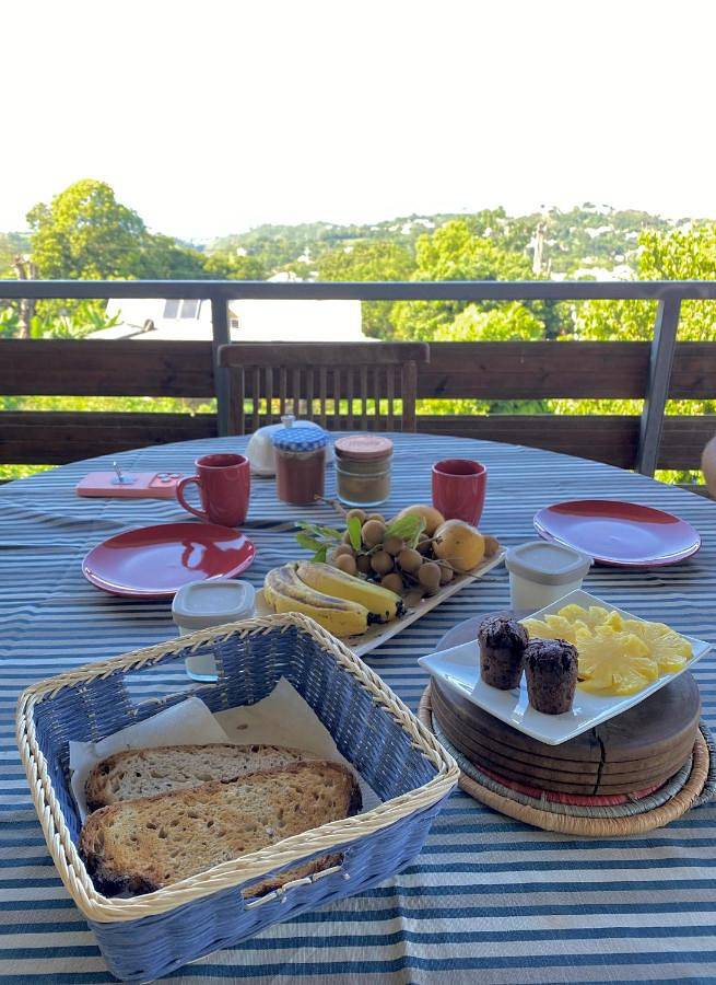 Chambre d’hôte pour 2 personnes, avec vue ainsi que piscine et jardin à Entre-Deux - 3