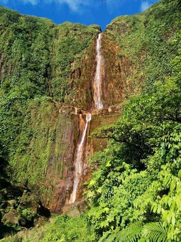 Studio pour 2 Personnes dans Baie-Mahault, Antilles, Photo 3