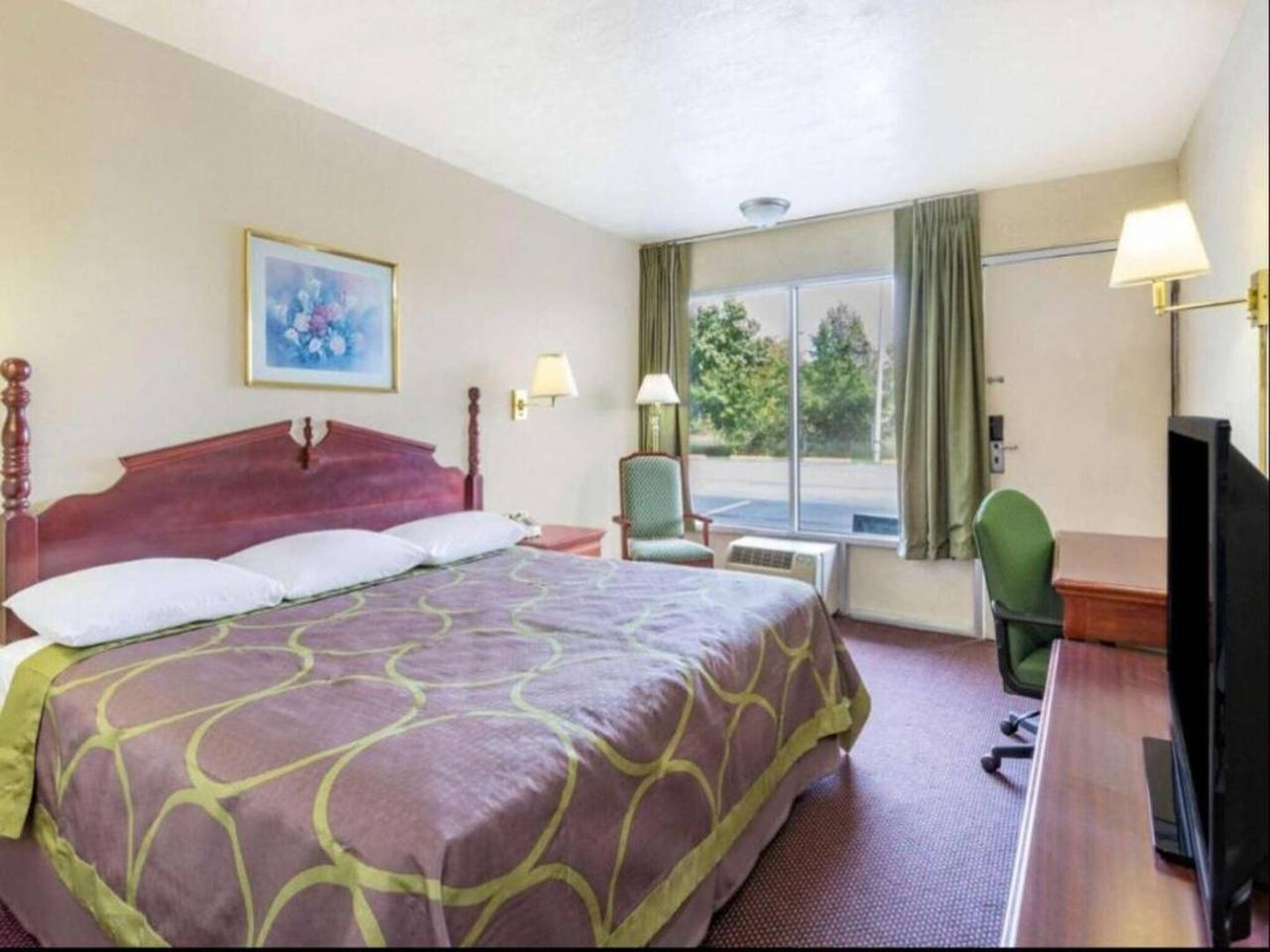 Ganze Wohnung, 1 Schlafzimmer Suite Zugänglich in Ashland (VA), Hanover County