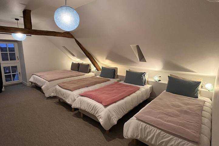 Gîte pour 16 personnes, avec terrasse et jardin à Le Grand-Pressigny - 4