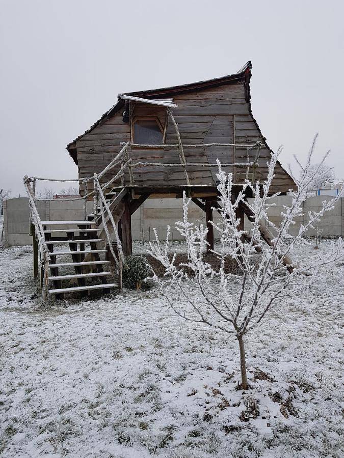 Ferienhaus für 2 Personen, mit Ausblick und Garten sowie Terrasse in Oderbruch - 2