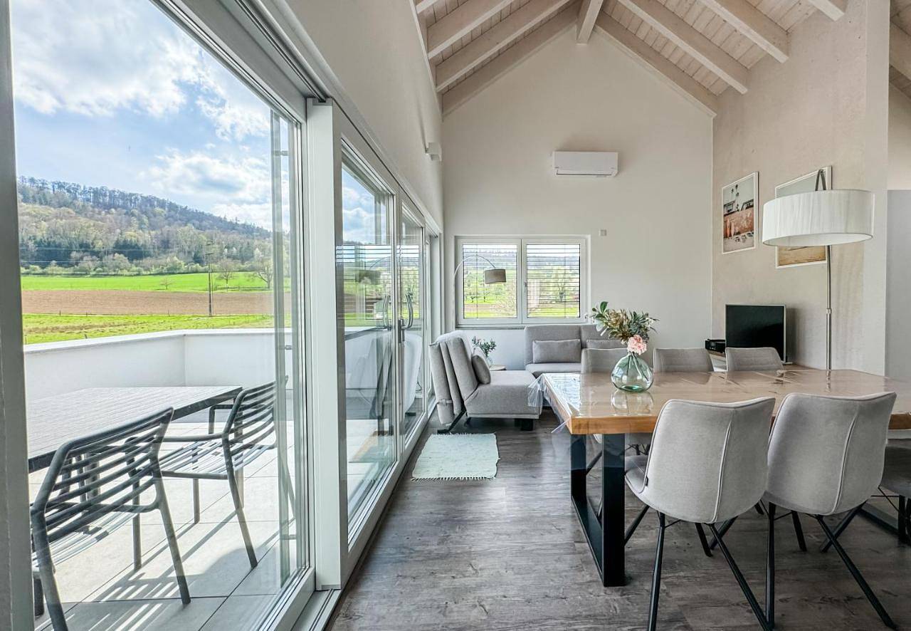 Appartement entier, Wunderschöne helle Wohnung mit großer Dachterrasse in Gottmadingen, Hegau
