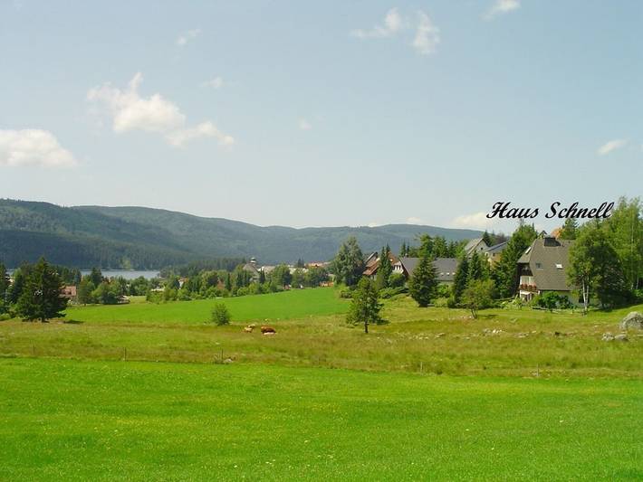 Ferienhaus für 4 Personen, mit Balkon und Garten in Schluchsee - 2
