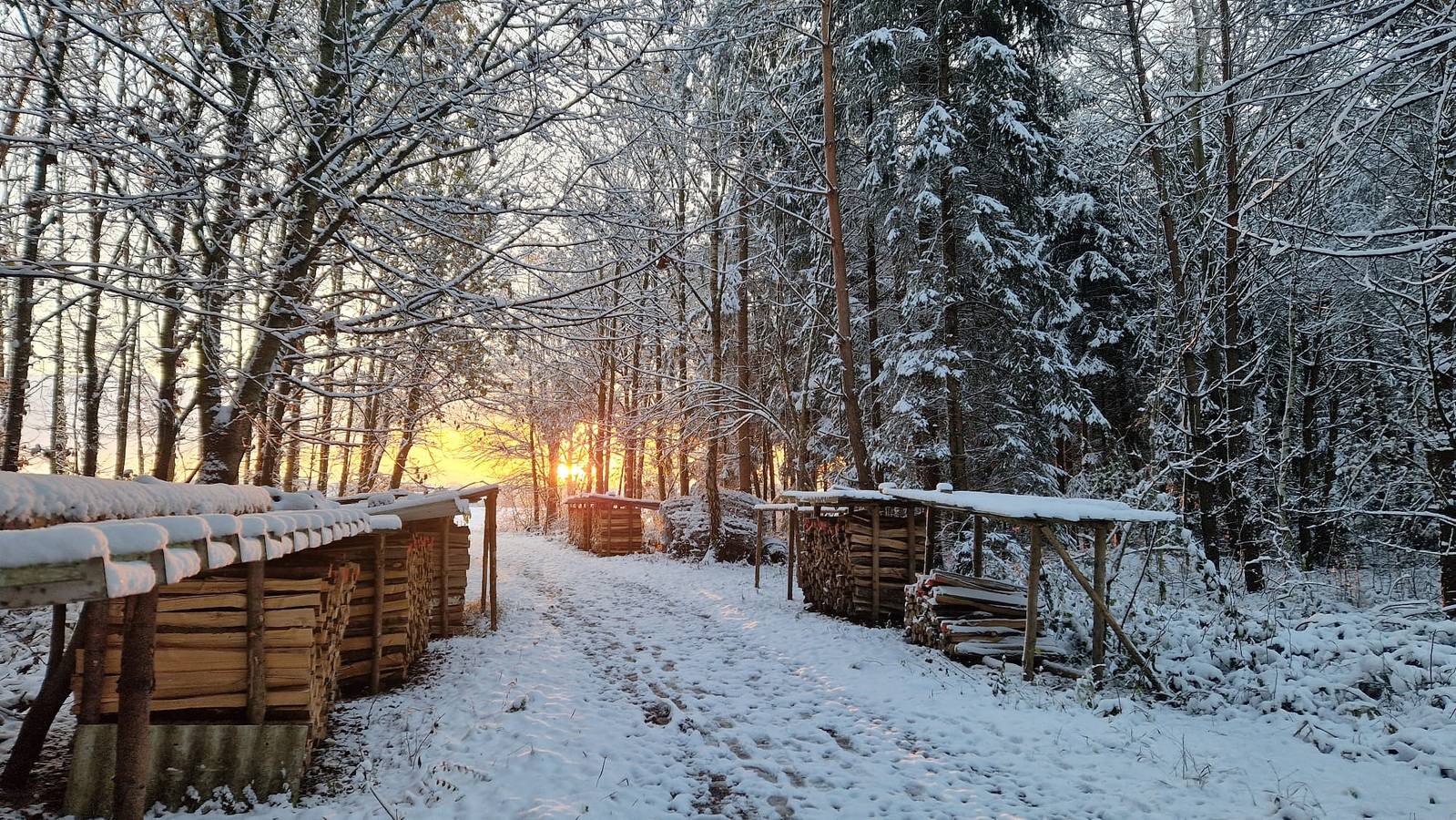 Chalet 'Vacation Rental' with Private Terrace, Wi-Fi and Air Conditioning in Freising, Upper Bavaria