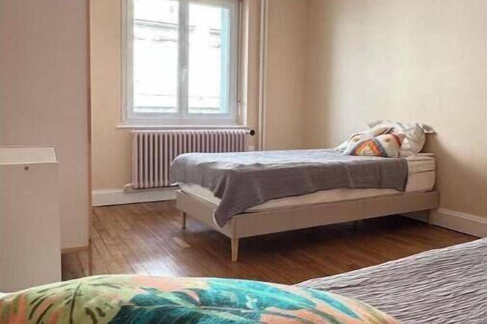 Entire apartment, Charming Apartment in the Heart of Épinal in Épinal, Épinal region