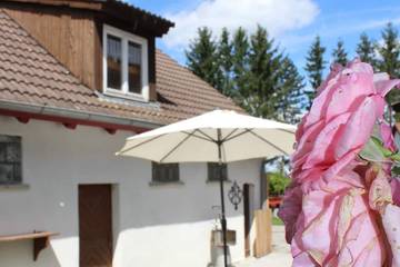 Ferienhaus für 6 Personen, mit Garten und Pool in Aulendorf