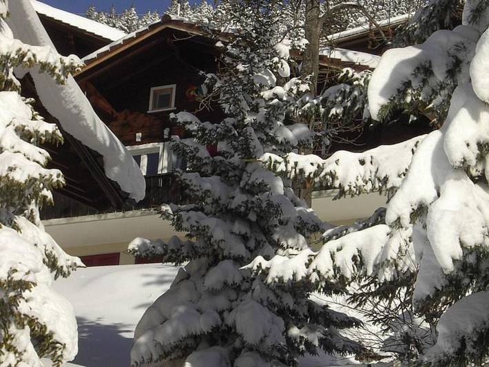 Gîte pour 4 personnes, avec terrasse et jardin à Hasliberg - 2