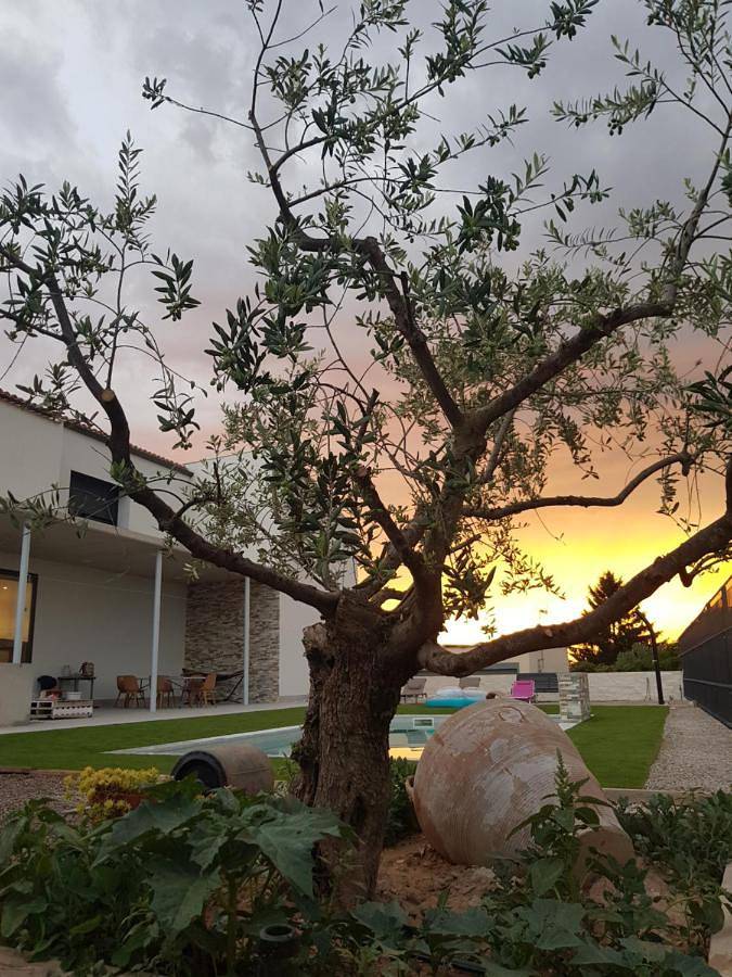 Location de vacances pour 6 personnes, avec piscine ainsi que jardin et vue, animaux acceptés dans Garrigues - 2