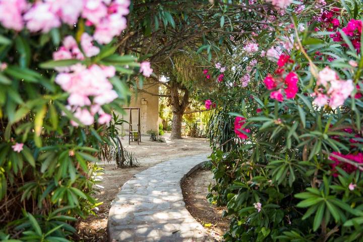 Gîte pour 2 personnes, avec jardin à Sainte-Marie-la-Mer - 4