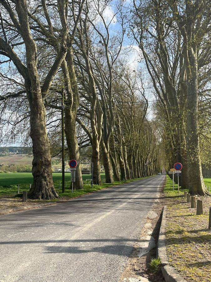 Location de vacances pour 6 personnes, animaux acceptés à Damery - 4