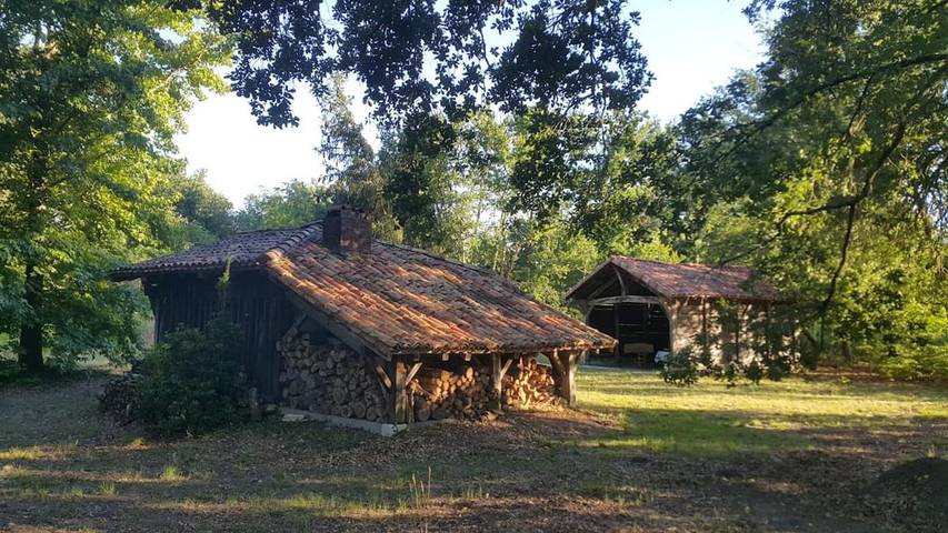 Location de vacances pour 10 personnes, avec vue ainsi que jardin et piscine dans Sabres - 2
