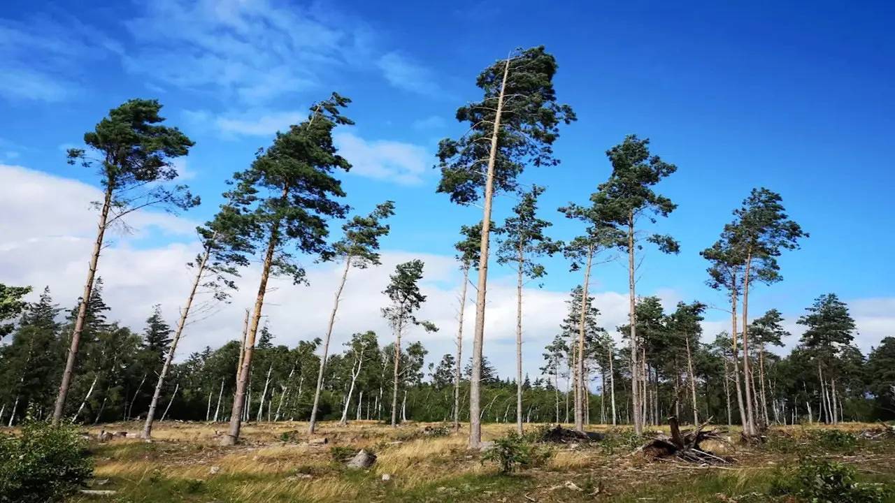 Ferienhaus für 8 Personen (123 m²) in Væggerløse in Væggerløse, Schwedische Ostsee