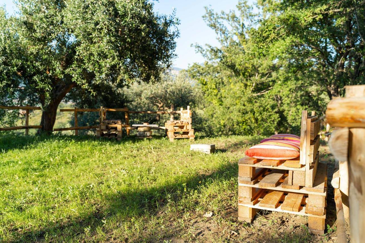 Appartamento intero, Standard Apartment in Ogliastro Cilento, Cilento Coast