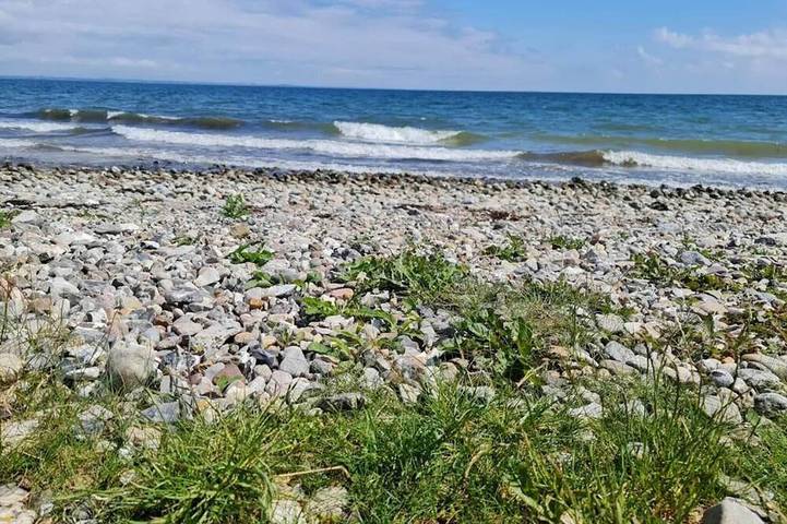 Ferienhaus für 4 Personen, mit Terrasse, mit Haustier in Årøsund - 4