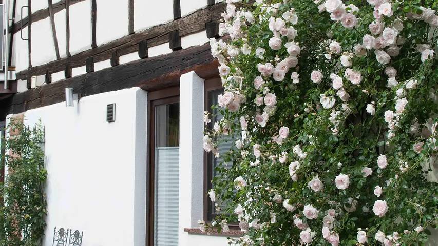 Bauernhof für 2 Personen, mit Balkon in Rheinland-Pfalz - 4