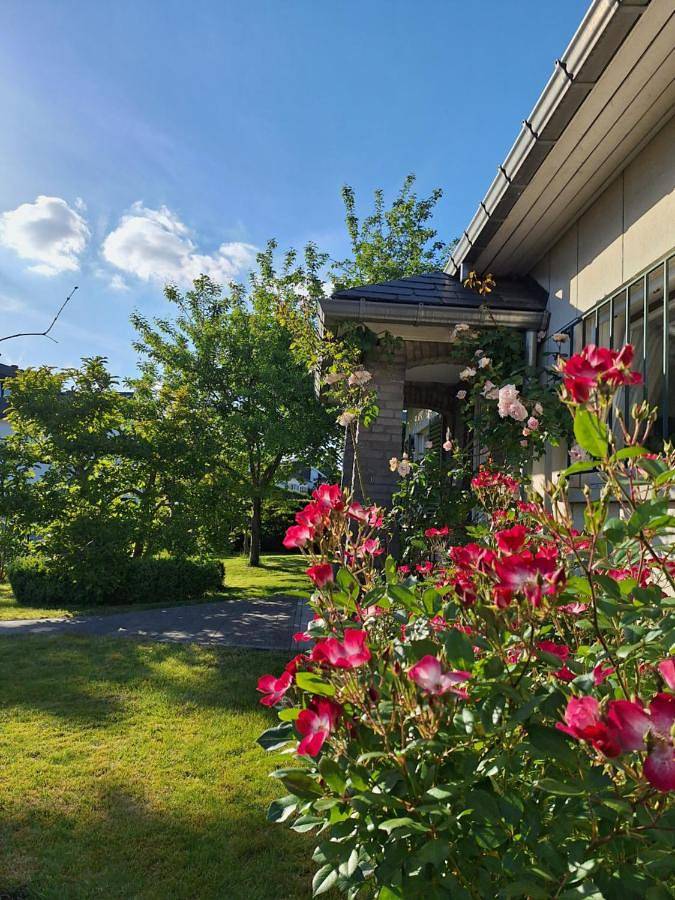 Twin Room with Private Bathroom in Waterloo, Waals-Brabant