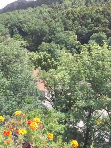 Maison d’hôte pour 3 personnes, avec vue et terrasse, animaux acceptés dans Gerês - 4