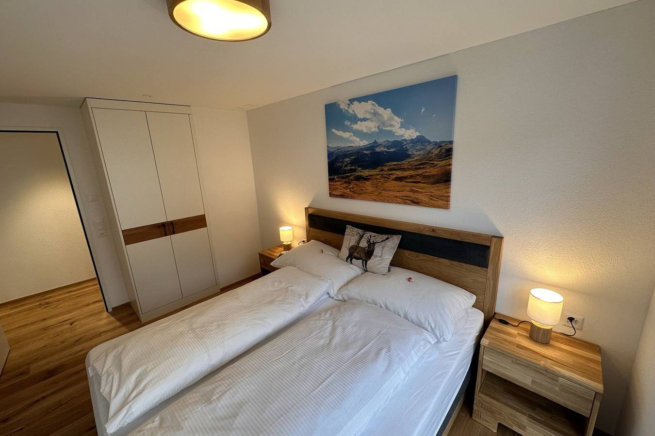 Ganze Ferienwohnung, Mätz Appartement - 3.5-Zimmerwohnung in Flumserberg Bergheim, Flums