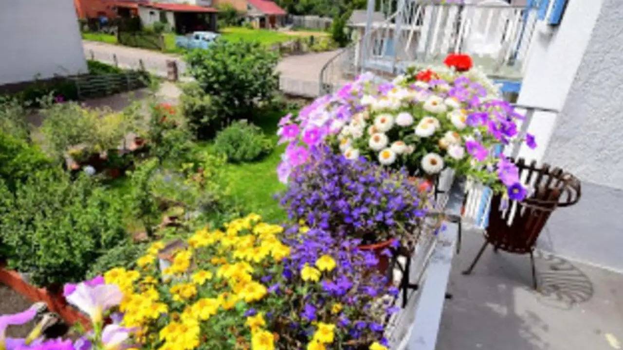 Ganze Ferienwohnung, Ferienwohnung für 10 Personen (100 m²) in Kappel-Grafenhausen in Europa-Park, Kappel-Grafenhausen