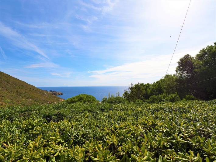 Ferienhaus für 5 Personen, mit Garten und Terrasse, mit Haustier auf Elba - 4
