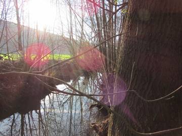 Ferienhaus für 6 Personen in Tauberbischofsheim, Stuttgart Region, Bild 2