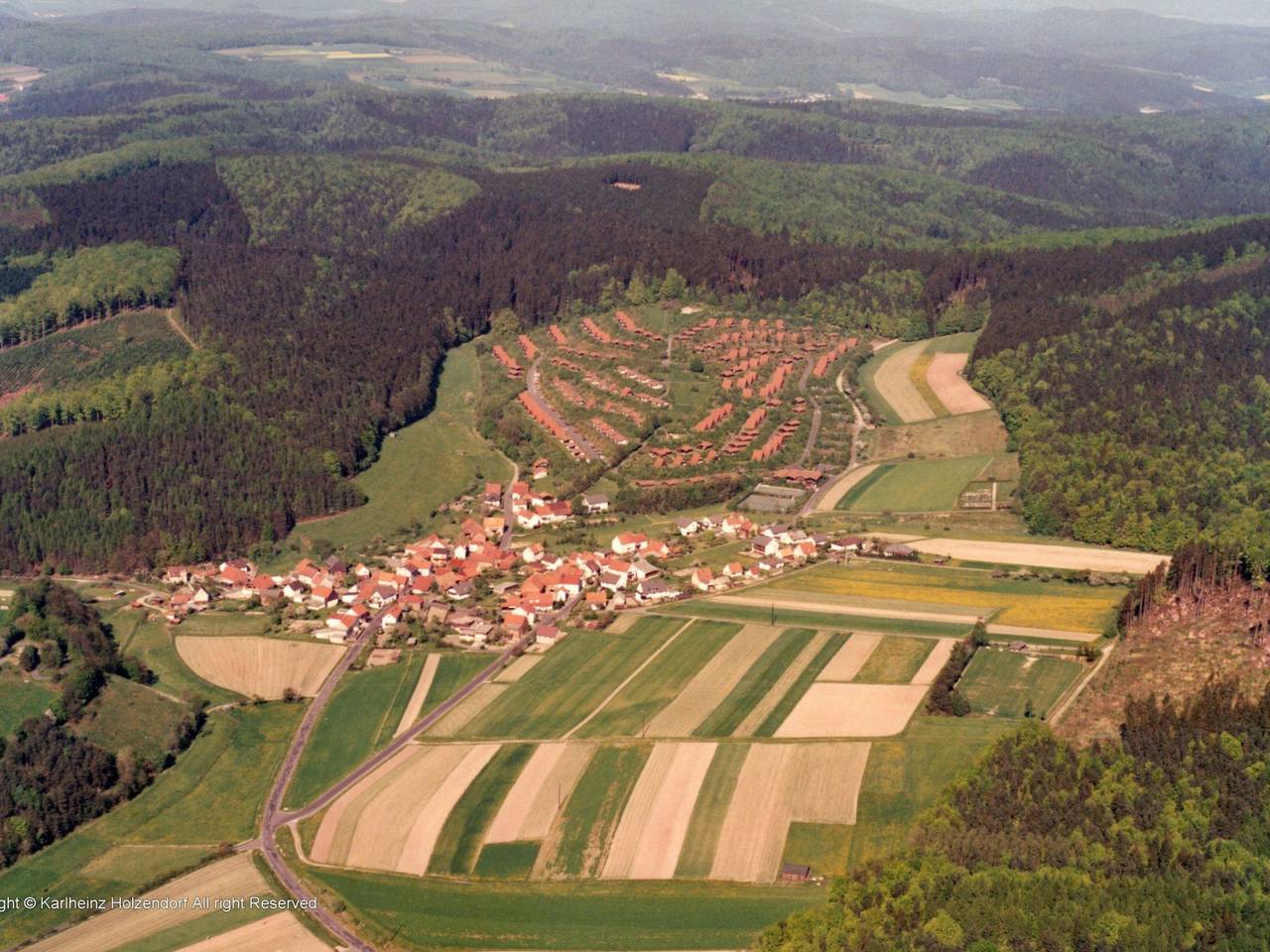 Kornblume in Machtlos, Ronshausen