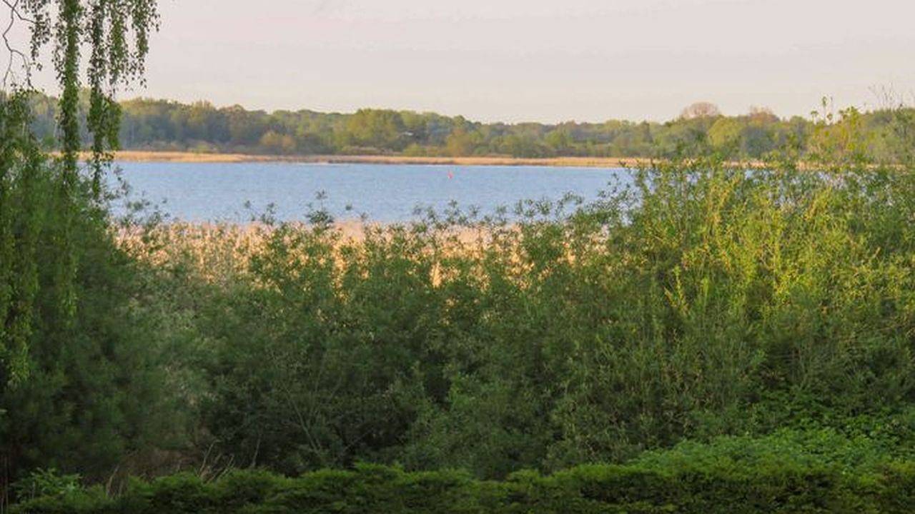 Ferienhaus für 4 Personen (40 m²) in Ribnitz-Damgarten in Ribnitz, Ribnitz-Damgarten