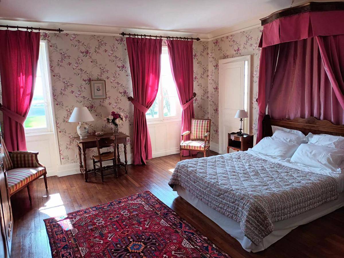 Chambres d'Hôtes Le Château de la Plante in Thuré (Vienne), Vienne (France)