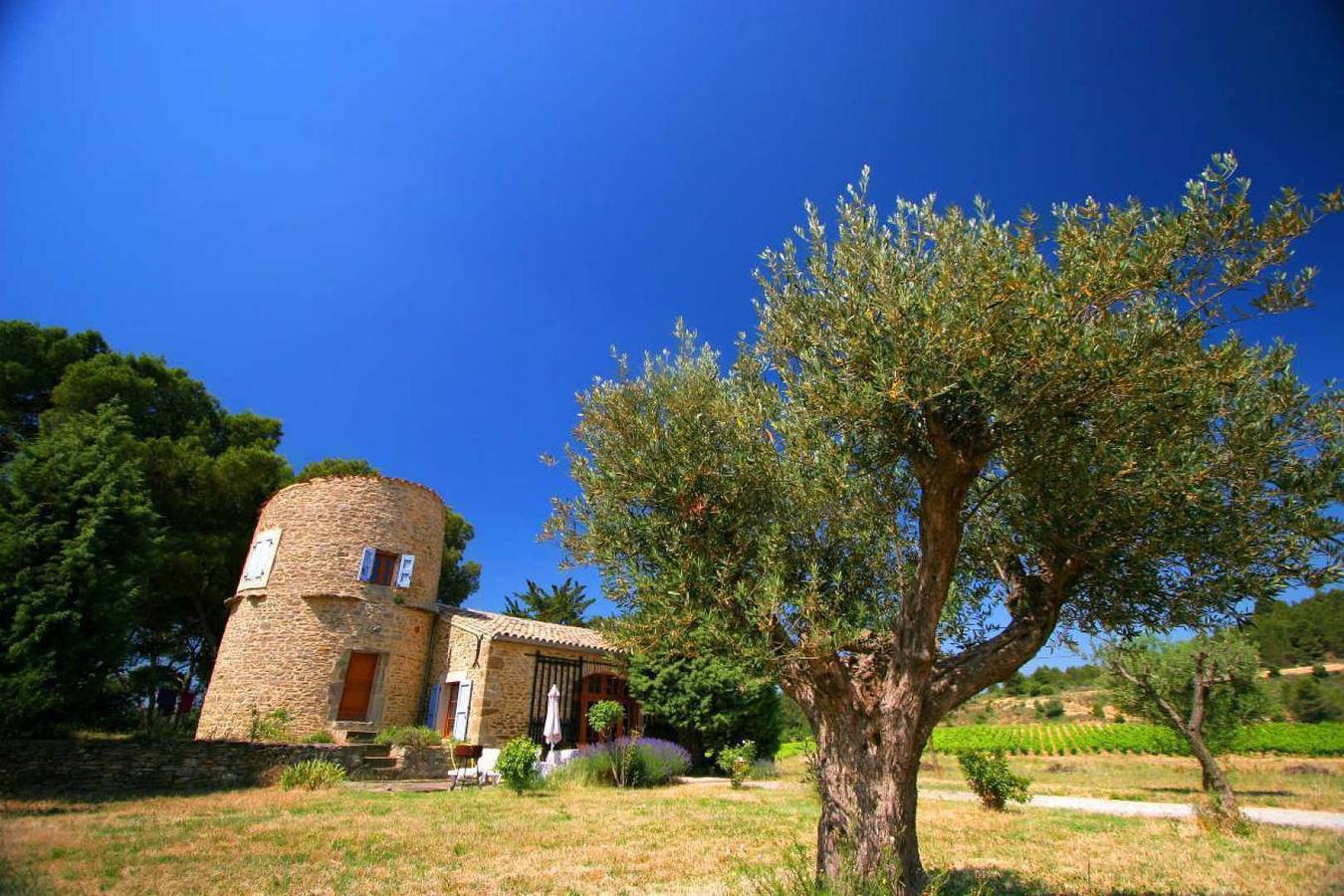 Le Moulin in Laure-Minervois, Région de Carcassonne