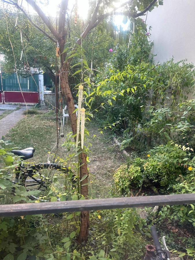 Maison d’hôte pour 2 personnes, avec vue ainsi que terrasse et jardin à Colombes - 2