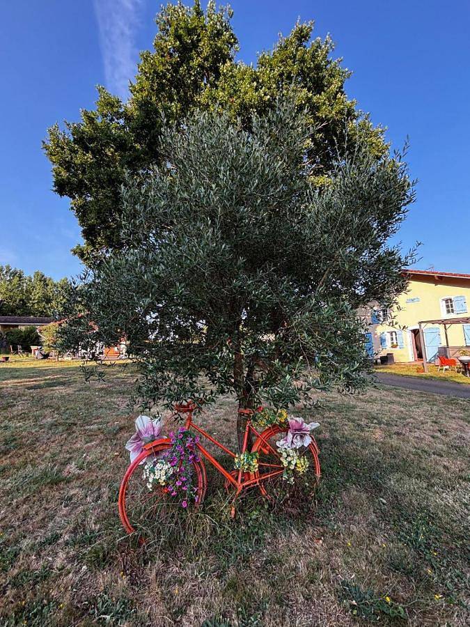 Chambre d’hôte pour 2 personnes, avec Jacuzzi et Terrasse ainsi que Jardin et Piscine dans les Landes - 2