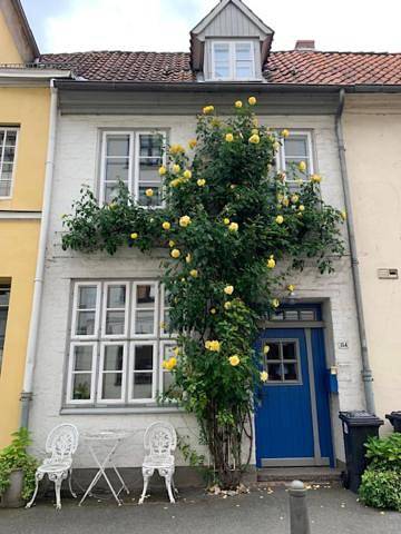 Ferienhaus für 4 Personen, mit Terrasse und Ausblick, mit Haustier in der Lübeck - 3