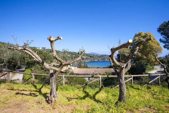 Location de vacances pour 5 personnes, avec jardin à l' Ile d'Elbe - 3