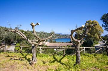 Villa per 5 Persone in Isola d'Elba, Foto 2