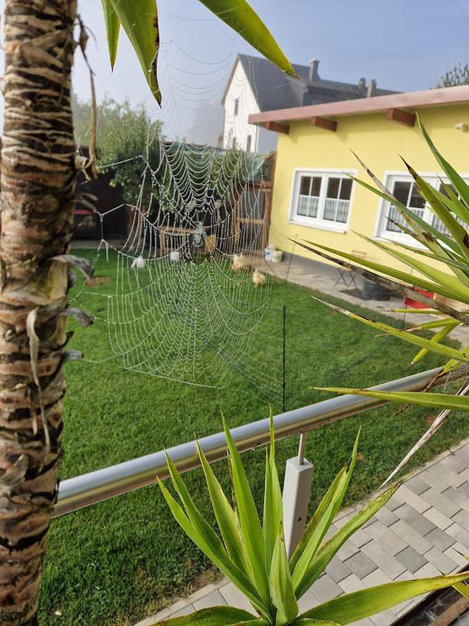 Gîte pour 10 personnes, avec terrasse et vue à Waischenfeld - 2