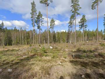 Holiday Home for 6 People in Ljusnarsberg, Central Sweden, Photo 3