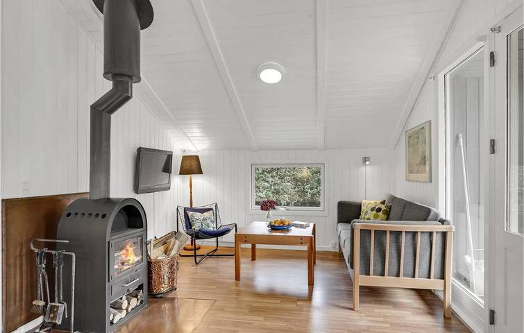 Ferienhaus für 5 Personen, mit Terrasse und Sauna, mit Haustier in Kollerup Strand - 4