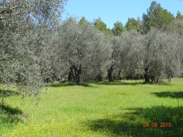 Gîte pour 4 Personnes dans Tourrettes, Région de Draguignan, Photo 4