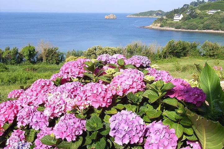 Maison de vacances pour 4 personnes, avec balcon et jardin - 1