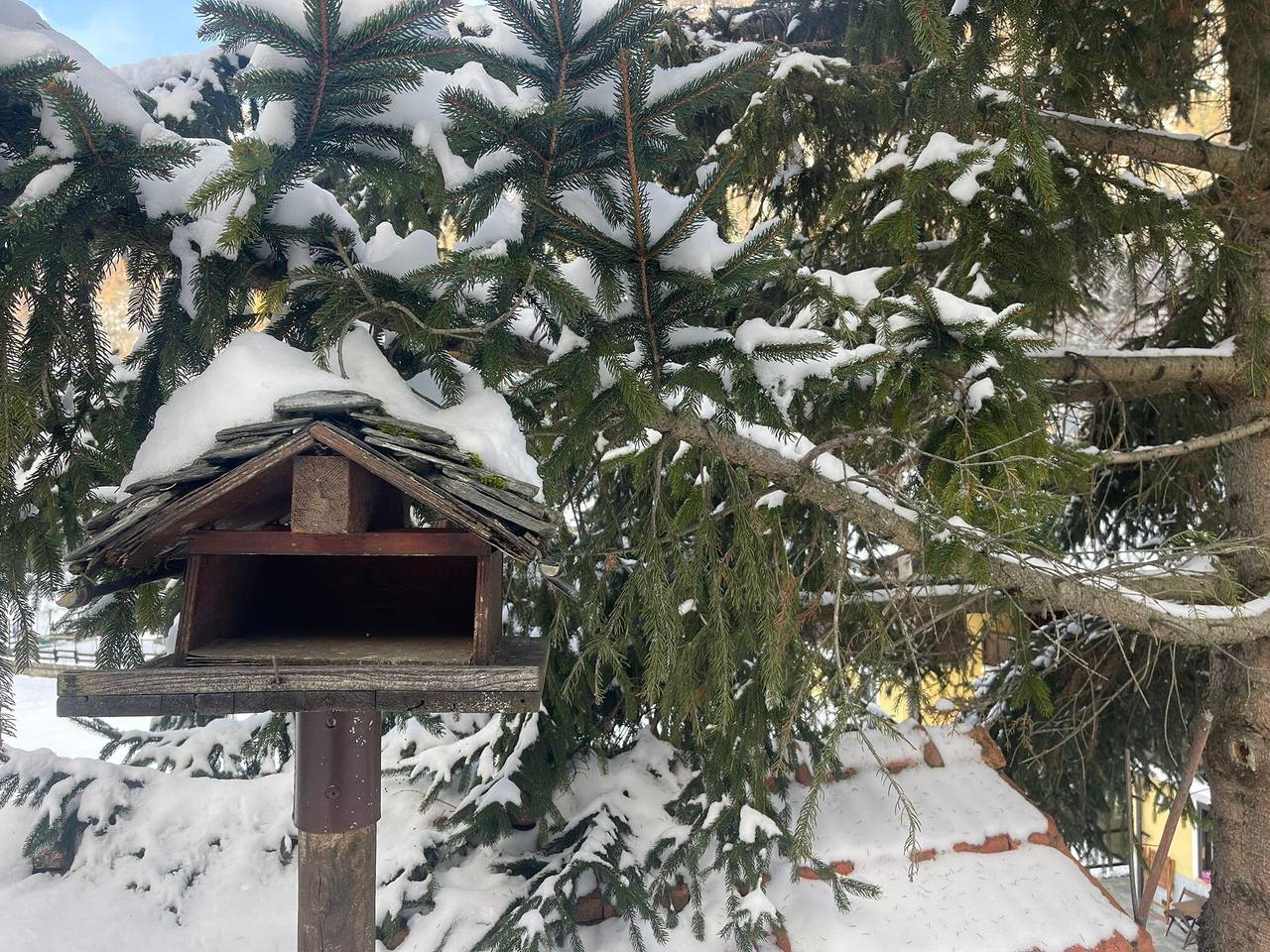 Holiday Home 'La Maisonnette' with Mountain View, Private Garden and Wi-Fi in Maisonnasse (Valtournenche), Valtournenche